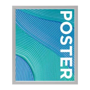 TRAPPA POSTER FRAME DISPLAY 20 X 24