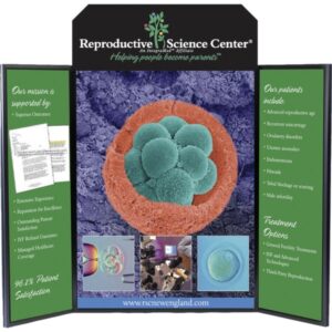 VOYAGER POLYGON SHORT HEADER OPTION